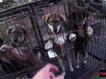 JAV Teen GF s Sizzling Sucking Skills: Enchanting Nymph Slurps Boyfriend s Humongous Dick